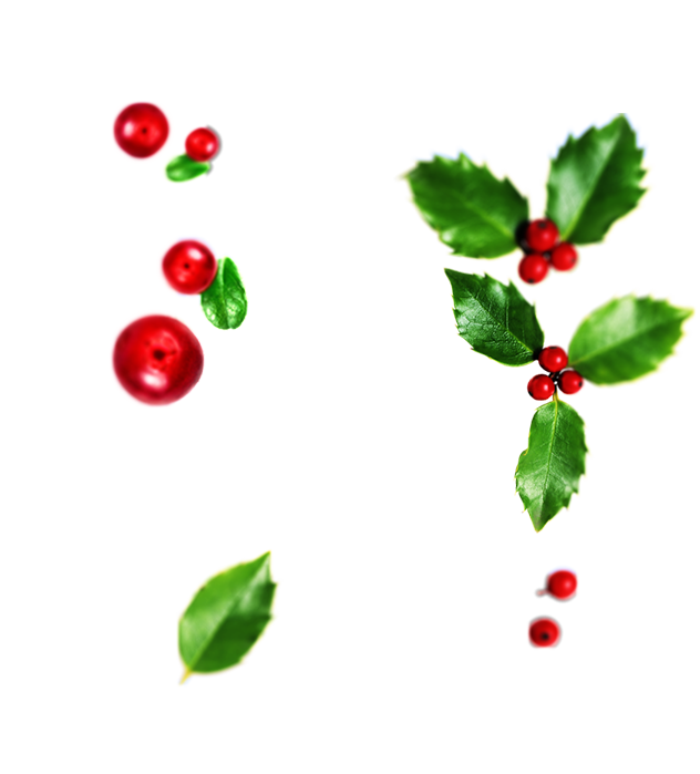 fruits
