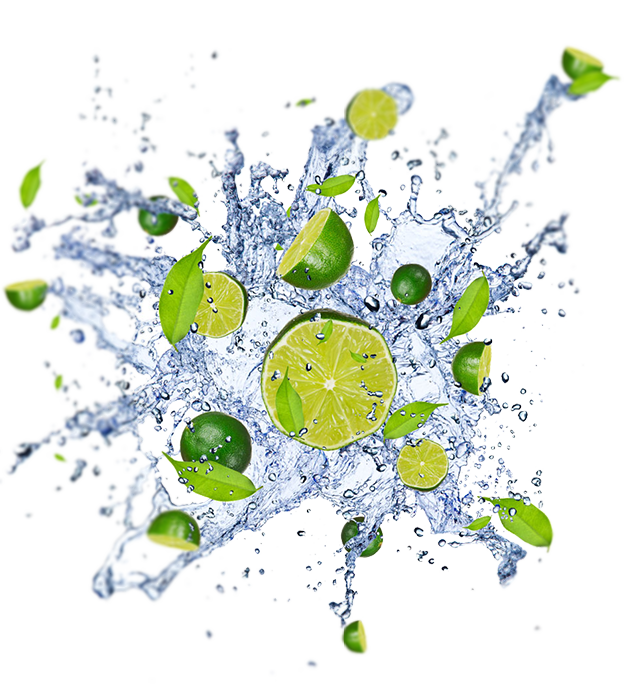 fruits